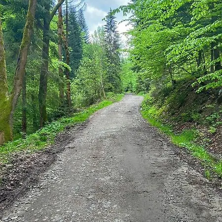 Domek U Janiego * Milówka